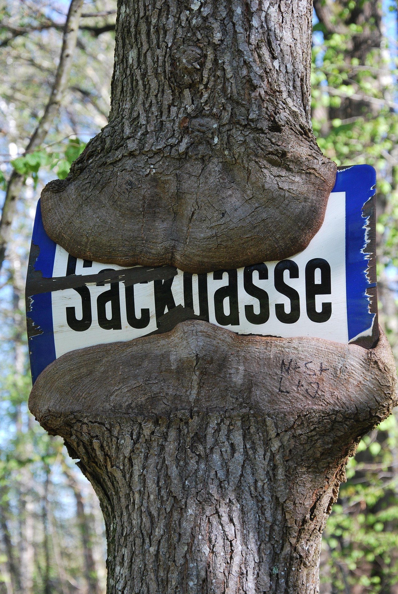 Psychotherapie zeigt neue Wege auf Psychotherapie zeigt neue Wege auf