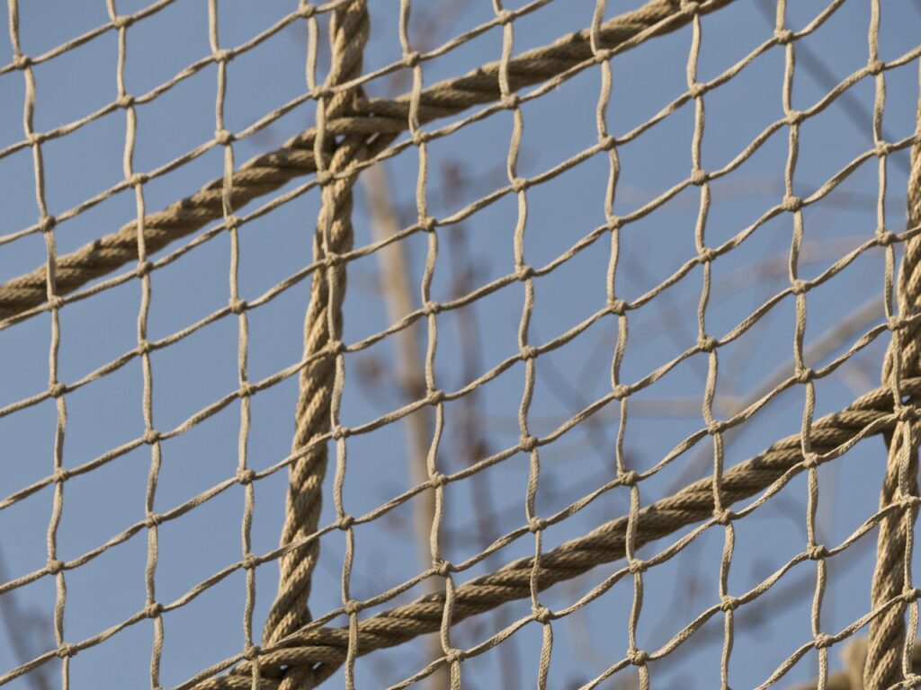 web 781092 1280 web 781092 1280